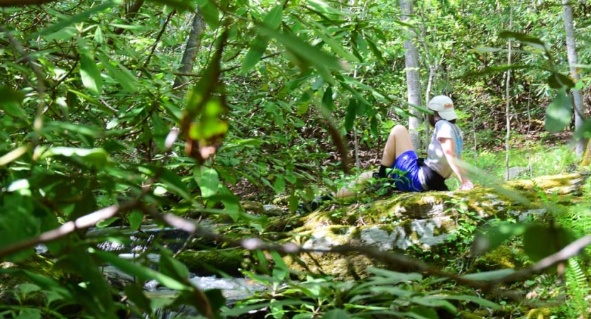 A person rests on the bank of a creek amid a thick green area.